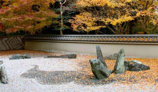 Tipos de diseño de jardines japoneses auténticos que debes conocer