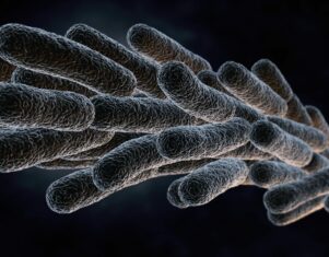Rentokil Initial: Modificaciones en el Real Decreto de Legionella para prevenir brotes de legionelosis este verano
