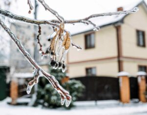 Consejos para proteger la vivienda del frío y las tormentas, según Allianz Partners