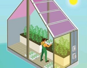 Green Rain Solar Inc. anuncia el lanzamiento de invernaderos solares autónomos