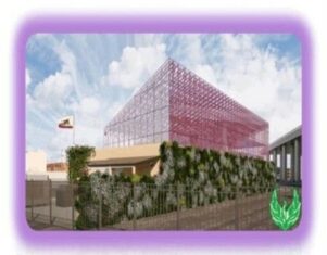 The Now Corporation, con su filial Green Rain Solar Inc, impulsa la infraestructura de vehículos eléctricos