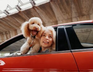 Mapfre lanza ReDrive, un nuevo servicio para operaciones de compraventa de vehículos entre particulares