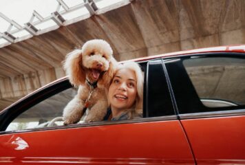 Mapfre lanza ReDrive, un nuevo servicio para operaciones de compraventa de vehículos entre particulares