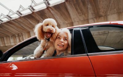 Mapfre lanza ReDrive, un nuevo servicio para operaciones de compraventa de vehículos entre particulares