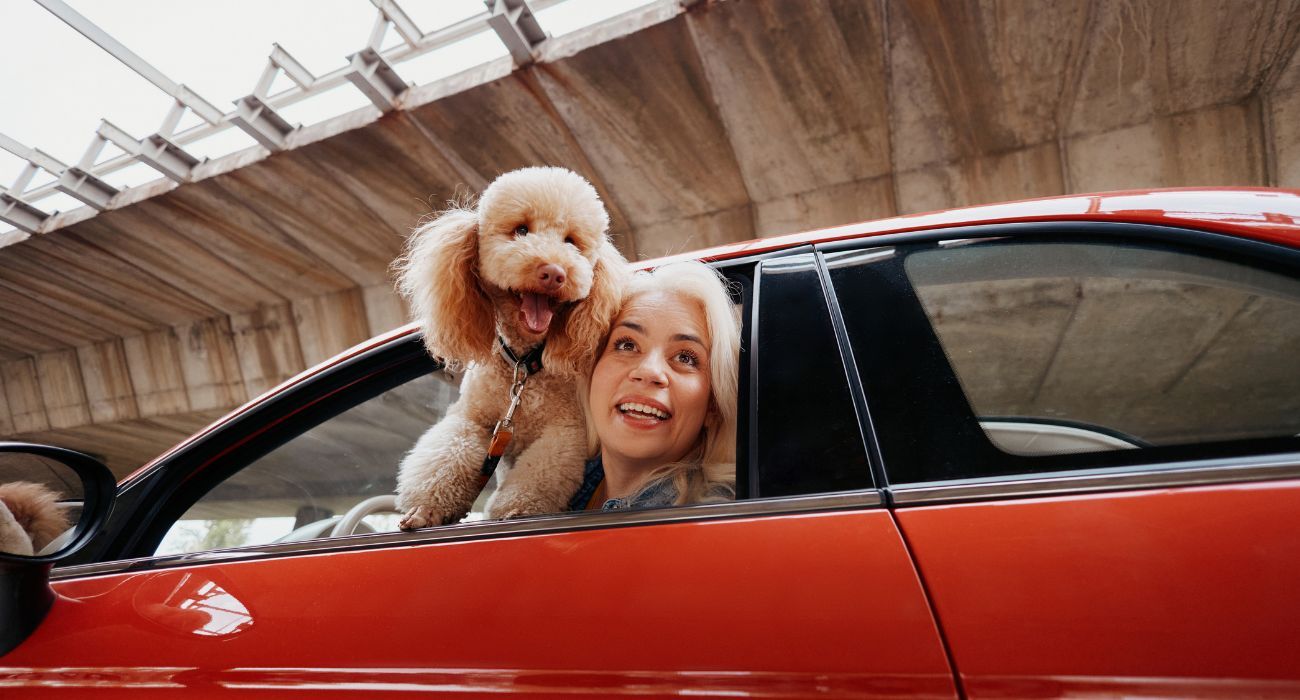 Mapfre lanza ReDrive, un nuevo servicio para operaciones de compraventa de vehículos entre particulares