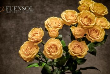 Fuensol conmemora dos décadas de trayectoria en el sector funerario con el lanzamiento de nuevos planes de planificación anticipada y renovación digital