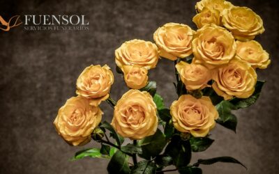 Fuensol conmemora dos décadas de trayectoria en el sector funerario con el lanzamiento de nuevos planes de planificación anticipada y renovación digital