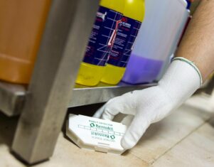Informe Anual de Plagas Rentokil 2025: cucarachas, chinches y roedores lideran el ranking de plagas en España