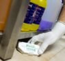 Informe Anual de Plagas Rentokil 2025: cucarachas, chinches y roedores lideran el ranking de plagas en España