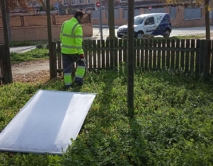 Rentokil detecta un aumento de garrapatas este verano: el calor dispara su presencia en parques, jardines y hogares