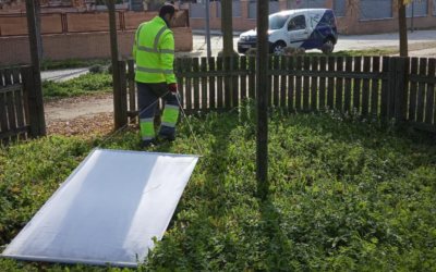 Rentokil detecta un aumento de garrapatas este verano: el calor dispara su presencia en parques, jardines y hogares